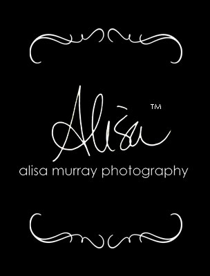 Alisa Murray Photography logo