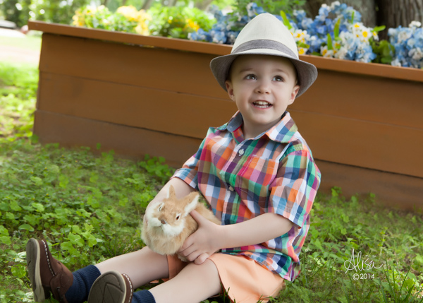 Houston Child Photographer | Little Guy