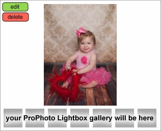 Houston Baby Photographer