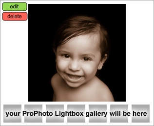 Houston Baby Photographer