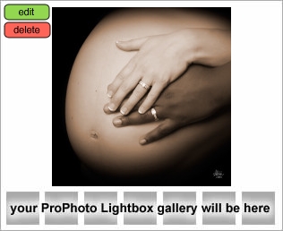 Houston Maternity Photography