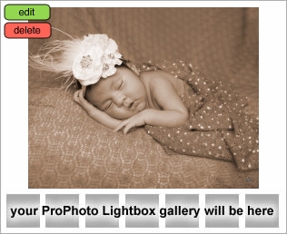 Houston's Premiere Newborn Baby Photographer