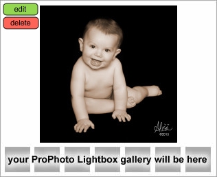 Houston Baby Photographer