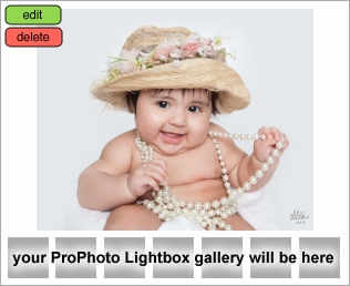 Houston Baby Photographer