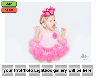 Houston Baby Photography