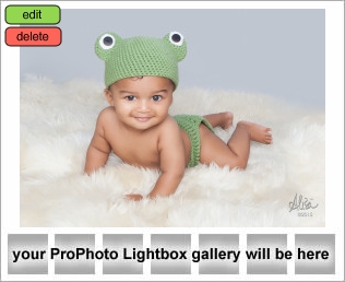 Houston Baby Photography