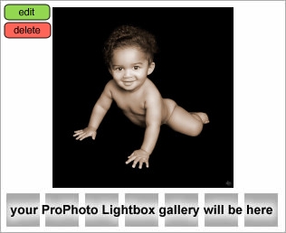 Houston Baby Photography