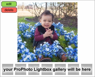 Houston Childhood Photographer